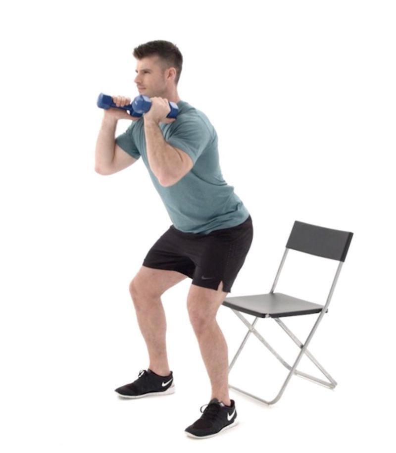 How to perform the Box Squat Box Physitrack